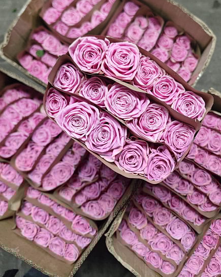 Heidi 40 см (15 шт) с доставкой по Астане