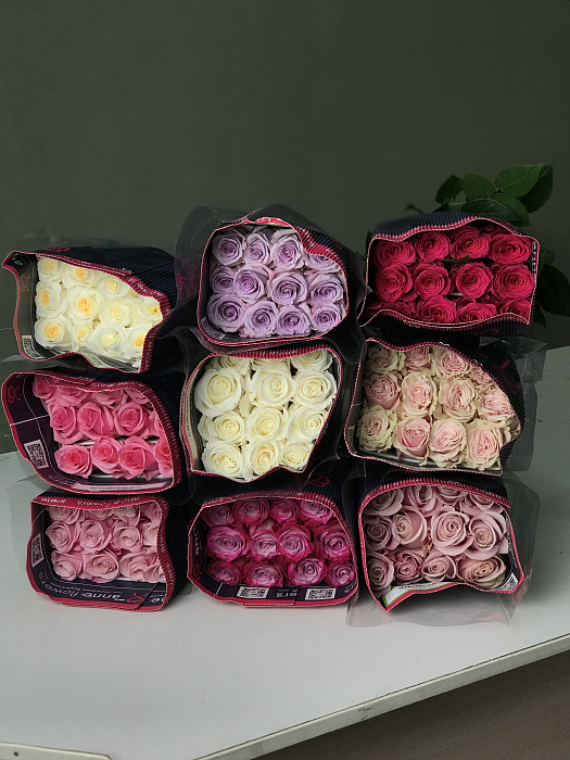 25 roses in a mix pack