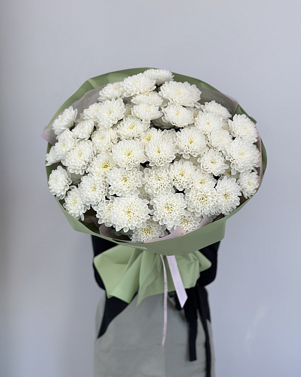 Chrysanthemum with delivery to Astana