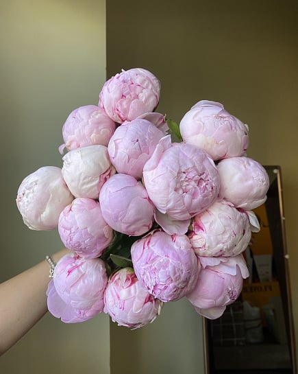 Пионовое облако с доставкой по Астане