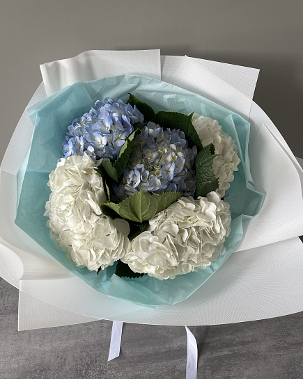Bouquet of Bouquet of hydrangeas flowers delivered to Pavlodar