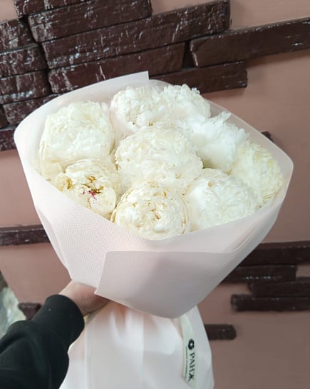 Белоснежные пионы в лаконичной упаковке с доставкой по Алматы