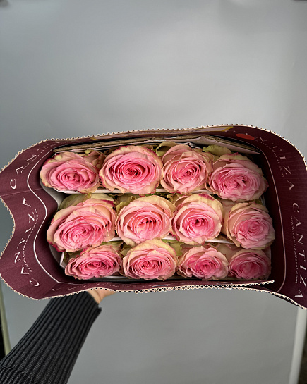 25 pink roses in a pack WHOLESALE with delivery to Astana