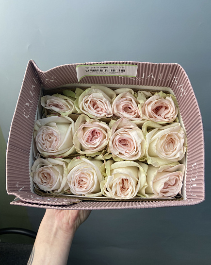 White o’hara (25 шт) в пачке с доставкой по Астане