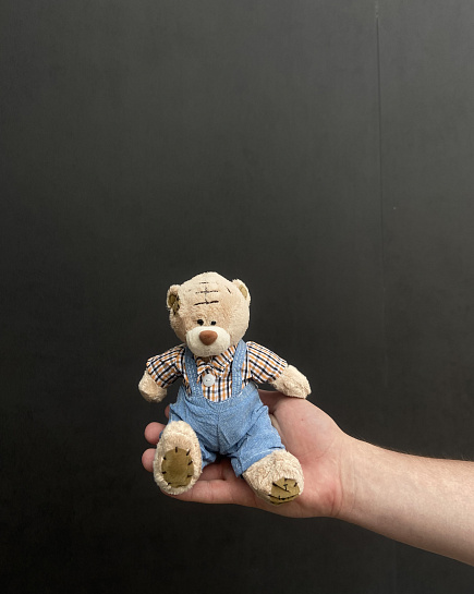 Teddy 14cm with delivery to Astana