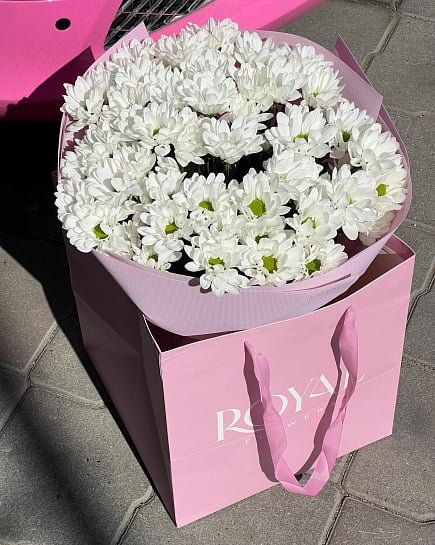 Snowthrough tenderness with delivery to Almaty