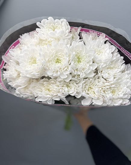 Chrysanthemum Altai in a pack of 5 pcs with delivery to Astana