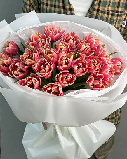 Tulips 25pcs with delivery to Astana