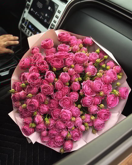 Pionic Rosa with delivery to Karaganda