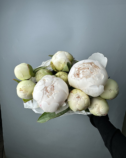 Bouquet of White peonies in a pack (10 pcs) flowers delivered to Astana