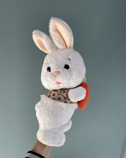 Bouquet of Bunny with carrots flowers delivered to Astana