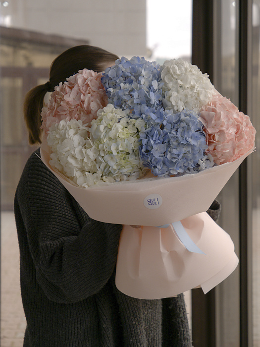 Hydrangea Premium