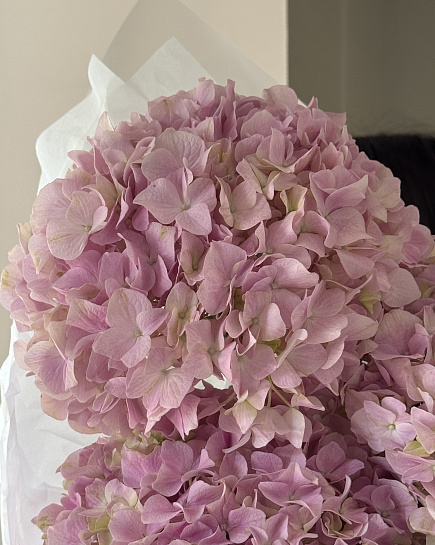 Cloud of Hydrangeas with delivery to Almaty