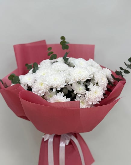 Белоснежная хризантема в розовом обрамлении с доставкой по Астане