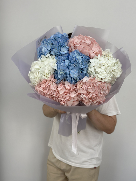 Royal hydrangeas (7)