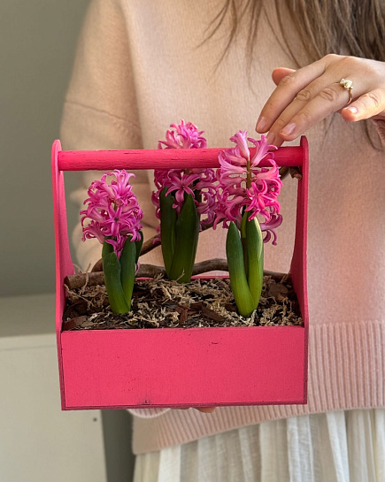 Bouquet of Now hyacinth flowers delivered to Astana