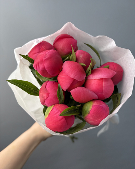 “Coral charm” peonies in packs (10pcs) with delivery to Astana