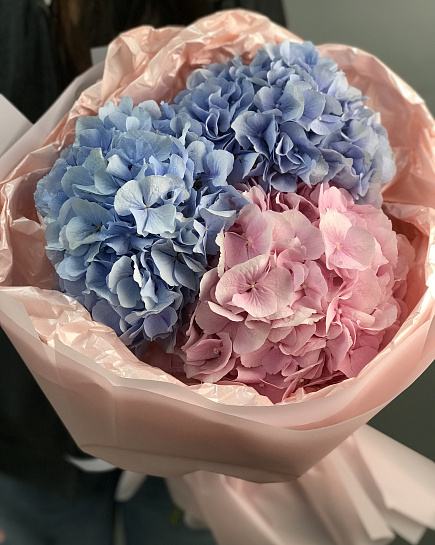 3 hydrangeas mix with delivery to Astana