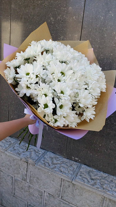 Mono chrysanthemums