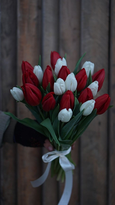 Красно/белые тюльпаны