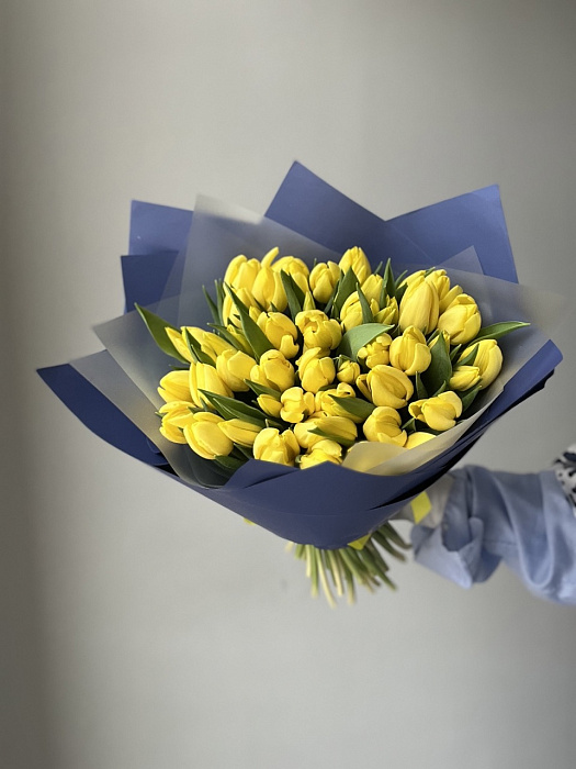 Yellow tulips 51pcs