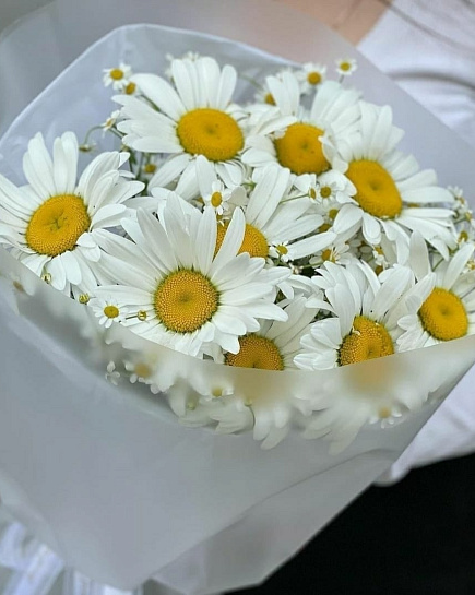 Bouquet of Chamomiles flowers delivered to Taraz