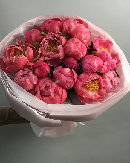 Peonies Coral Charm 15 pcs with delivery to Almaty