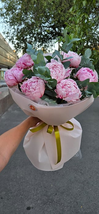 Пионовое облако в эвкалипте