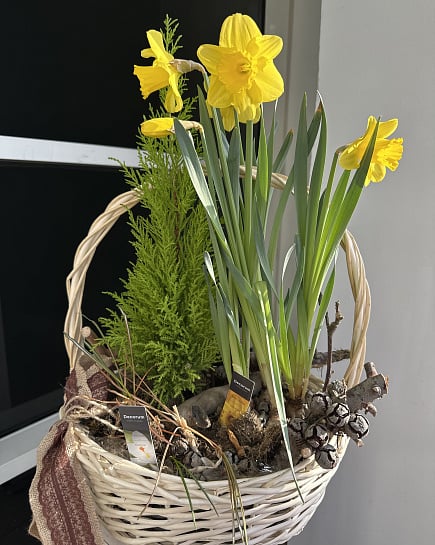 Весеннее настроение в корзине с доставкой по Астане