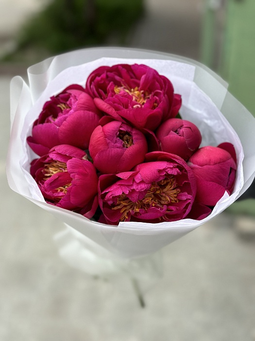 Red peonies 7pcs