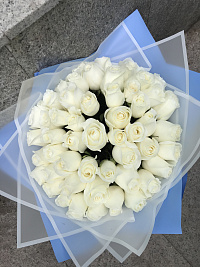 Белые розы 51 шт 