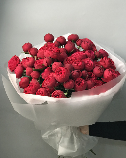 Red piano 25шт with delivery to Astana