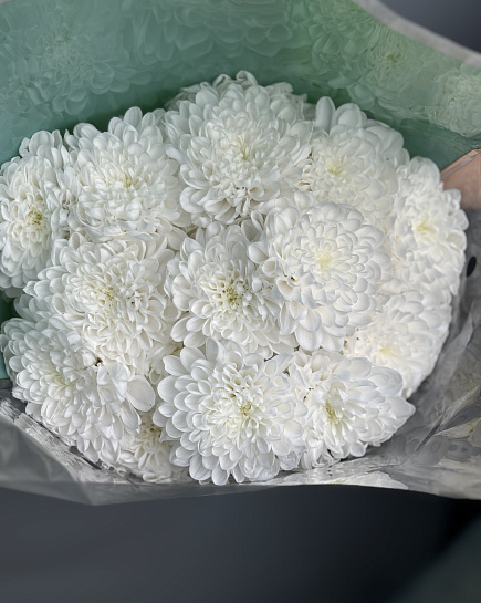 Chrysanthemum Altai in a pack of 5 pcs with delivery to Astana