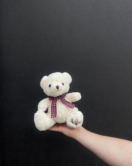 Teddy bear with bow 25cm with delivery to Astana