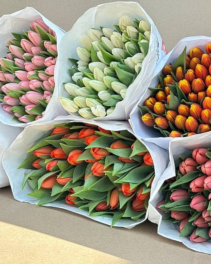 Тюльпаны в пачке(50шт) с доставкой по Астане