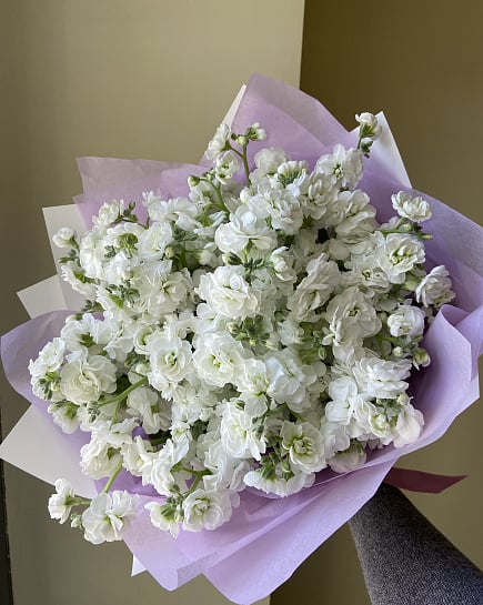 Белоснежная маттиола с доставкой по Астане