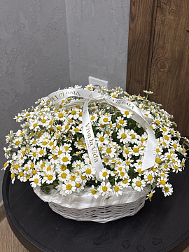 Солнечные ромашки в корзине