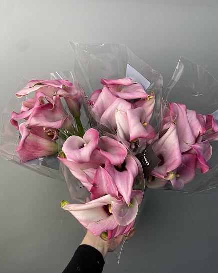 Каллы 5 шт в пачке к с доставкой по Астане