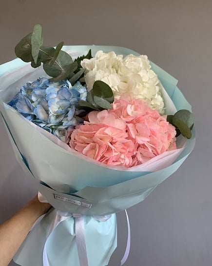 Трио гортензий в пастельных тонах with delivery to Astana