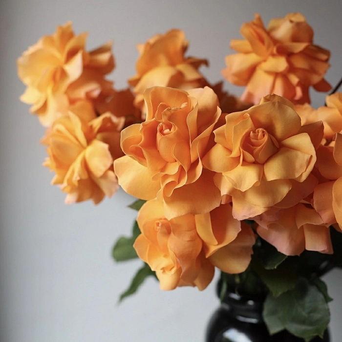 Bouquet Orange Punch (25)