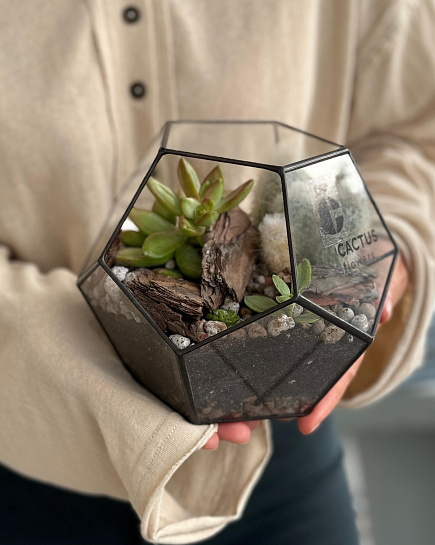 Bouquet of Florarium with succulents and cacti flowers delivered to Astana