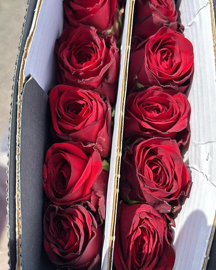 Roses in a pack 10 pcs with delivery to Almaty
