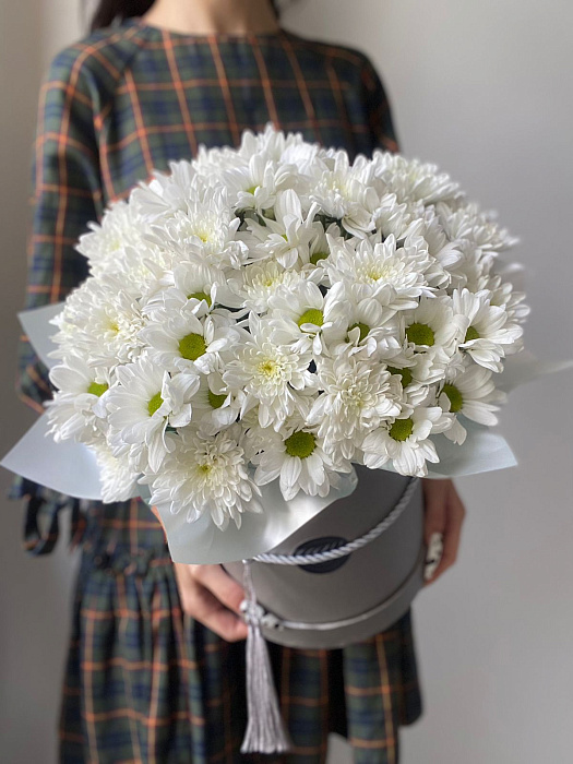 Chrysanthemums 11 branches in a box