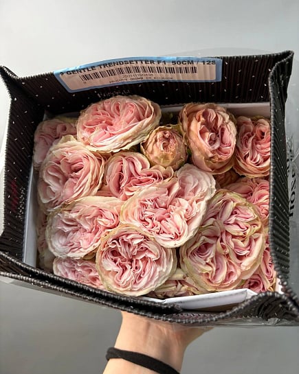 Gentle TrendSetter in a bunch of bush 12pcs with delivery to Astana