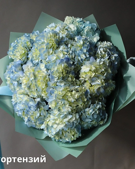 Bouquet of Bouquet of Colombian hydrangeas (15) flowers delivered to Shymkent