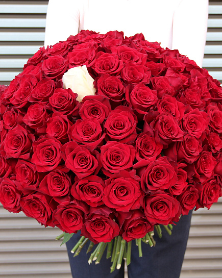 Bouquet of Bouquet of red roses 