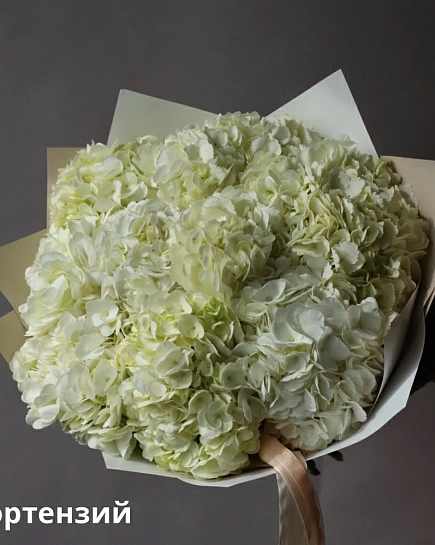 Bouquet of Bouquet of Colombian hydrangeas (9) flowers delivered to Shymkent