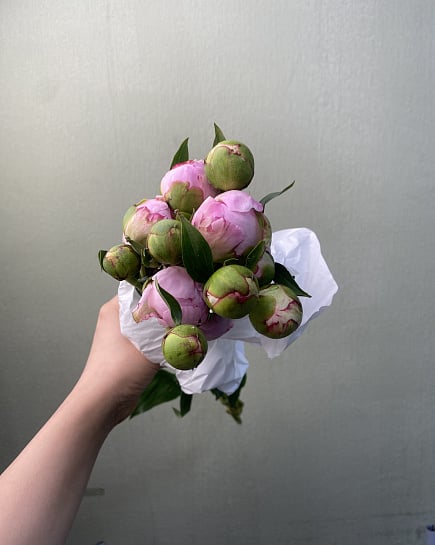 Кустовые пионы в пачках (5 шт) с доставкой по Астане