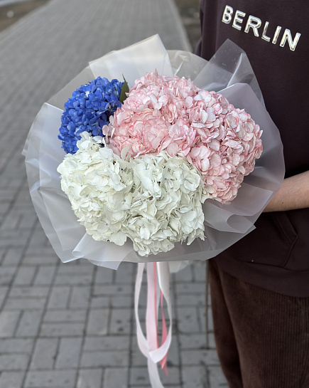 Bouquet of 5 hydrangeas flowers delivered to Astana