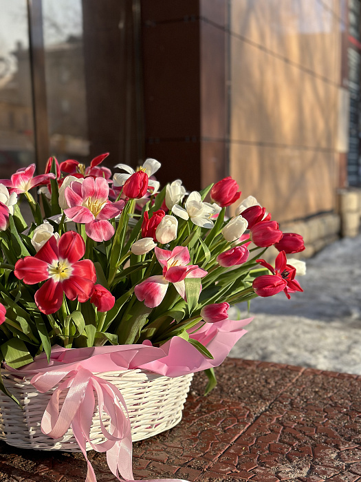 51 tulips in a basket